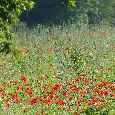 Au Ptit Coquelicot Vila Houyet Exterior foto
